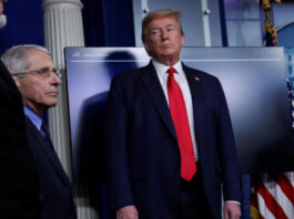 করোনাভাইরাস: আমেরিকায় বেশি আক্রান্ত হওয়া ‘সম্মানের নিদর্শন’ : ট্রাম্প