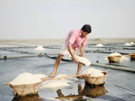 চার শতাংশ সুদে লবণ চাষীদের ঋণ প্রদানের জন্য বিসিকের অনুরোধ