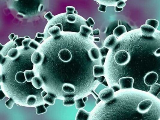 আরো ১৭৮ জন শনাক্ত