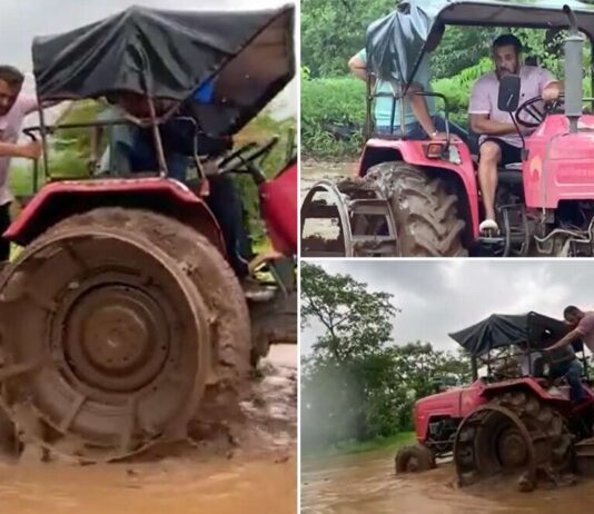 ধানের চারা রোপণ করলেন সালমান