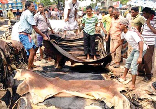 চামড়ার দাম ঢাকায় ৩৫, ঢাকার বাইরে ২৮ টাকা