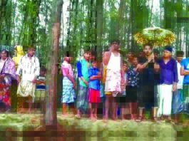 উখিয়ার চরপাড়ায় ভাঙন আতংক
