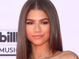 জেন্ডায়ার ইতিহাস