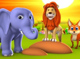 অহঙ্কারী মাছি