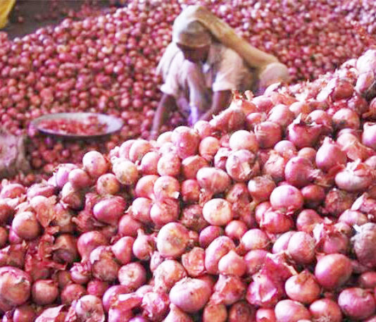 শর্তে পেঁয়াজ পাঠাবে ভারত, আনতে হবে চেন্নাই বন্দর দিয়ে