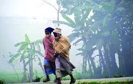চলতি মাসেই বাড়বে শীতের তীব্রতা