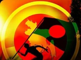 বিজয়ের স্মৃতি