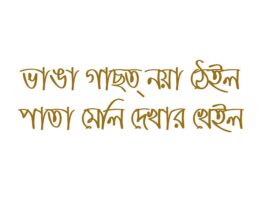 আঞ্চলিক ভাষার শক্তি ও পারিপার্শ্বিকতা