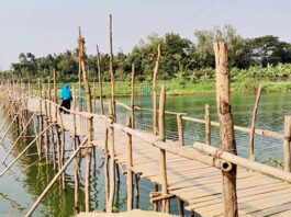 একটি সেতুর জন্য…