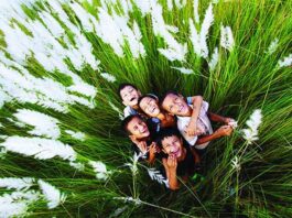 রসগোল্লা উৎসব