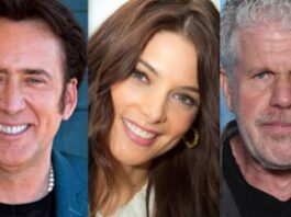 এক সিনেমায় তিন অ্যাকশন হিরো