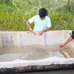 ডিম ফোটানোতে ব্যস্ত সংগ্রহকারীরা