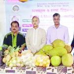 এ্যালায়েন্স ক্লাব মেহেদীবাগের মৌসুমী ফল বিতরণ