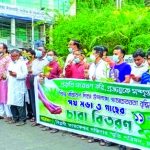 প্রকৃতিকে সম্মান জানাতে হবে