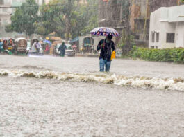 ভরাট খালেই সর্বনাশ
