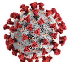 উপজেলায় সংক্রমণ ও মৃত্যু বেড়েছে : স্বাস্থ্যবিধি মেনে চলা ছাড়া গত্যন্তর নেই