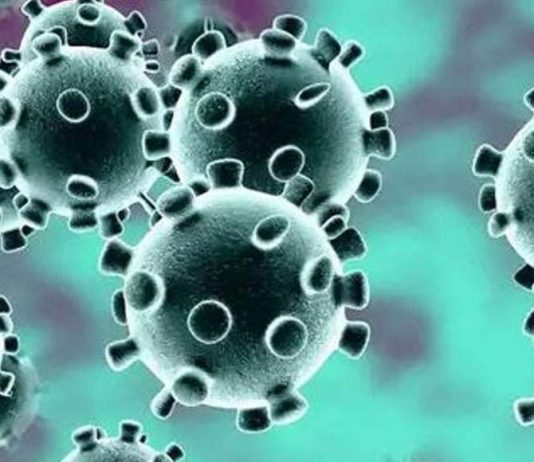 নয়দিন বিচ্ছিন্ন থাকবে ঢাকা