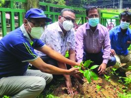 বৃক্ষরোপণ করে দেশকে সবুজে ভরিয়ে তুলতে হবে