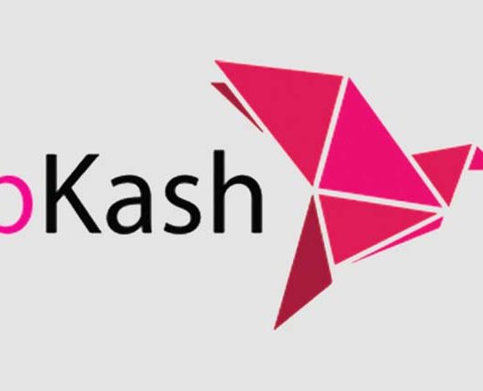 ইভ্যালি ও আলেশা মার্টসহ ১০টি অনলাইন মার্চেন্টে পেমেন্ট স্থগিত করেছে বিকাশ