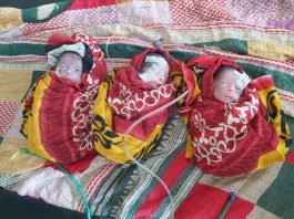 লংগদুতে একসঙ্গে তিন সন্তানের জন্ম