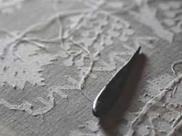 ঢাকাই মসলিন বাজারে আসতে পারে আগামী বছর