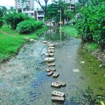 মশা আর ময়লার স্তূপ জাতিসংঘ পার্কে