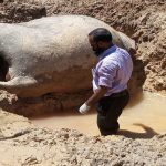 বৈদ্যুতিক শকে হাতি হত্যা