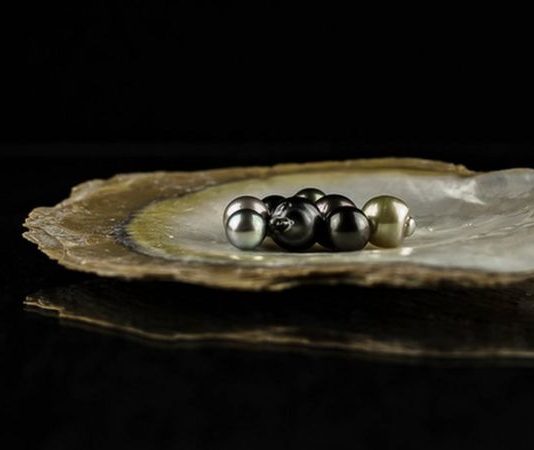 সম্ভাবনার নতুন দুয়ার : নানা আকার ও রঙের মুক্তা