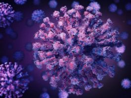 চার মাস পর সবচেয়ে কম মৃত্যু, শনাক্ত ৪.৪১ শতাংশ