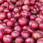 পেঁয়াজের মূল্যবৃদ্ধির পেছনে সিন্ডিকেট