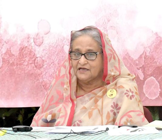 একটি শ্রেণী দেশের ভাবমূর্তি ক্ষতিগ্রস্ত করতে চায় : প্রধানমন্ত্রী