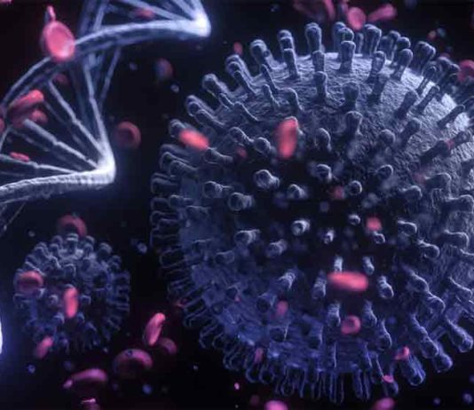 ৩৮টি দেশে ধরা পড়ল করোনার ওমিক্রন স্ট্রেন