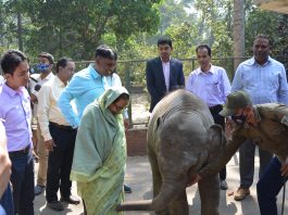 বনভূমি দখলে জড়িত স্থানীয় জনপ্রতিনিধিরা