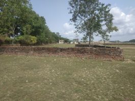 কমছে আবাদি জমি, বাড়ছে স্থাপনা