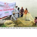 হালদা নদী থেকে উদ্ধার ১০ হাজার পোনা অবমুক্ত