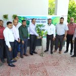 কর্ণফুলি ইপিজেডে ডায়মন্ড সিমেন্টের চারা বিতরণ