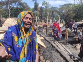 আগুনে পুড়ে গেছে ৫২ বসতঘর