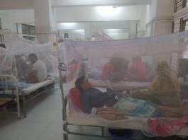 ভয় বাড়াচ্ছে ডেঙ্গু