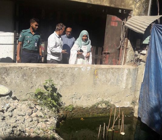 ছাদ বাগানে এডিস মশার উৎসস্থল