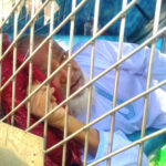 প্রধানমন্ত্রীকে দেখতে সিএনজিতে শুয়ে এসেছেন কিডনি রোগী