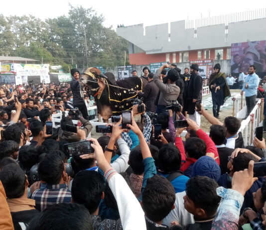 ষাড়ের প্রদর্শনীতে দর্শনার্থীর ভিড়