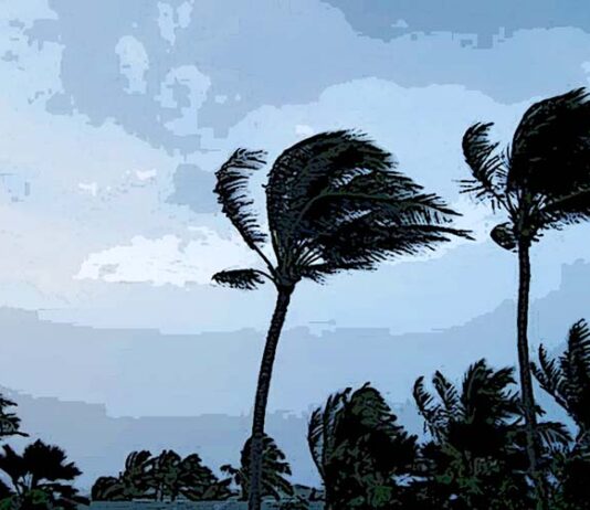 ভুলের খেলাঘর