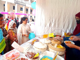 পিঠা উৎসবের বাহারি আয়োজন