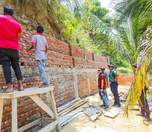 পাহাড় কেটে গরুর খামার