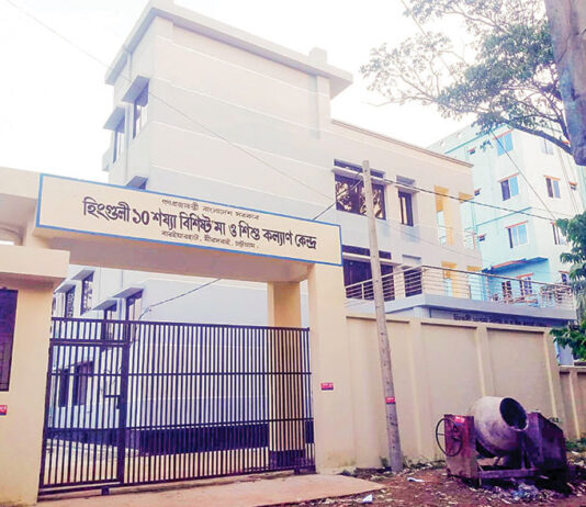 দুই পরিদর্শিকা দিয়ে চলছে স্বাস্থ্যসেবা