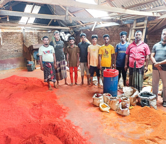 ভেজাল মসলার ছড়াছড়ি