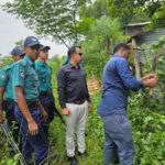 পাহাড় কেটে রাস্তা ও ঘর