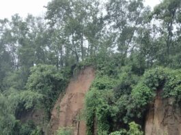 পাহাড়ধস ঠেকাতে নেয়া হয়নি টেকসই পরিকল্পনা