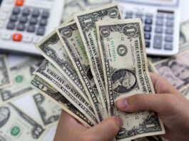 কমছে প্রবাসী আয়