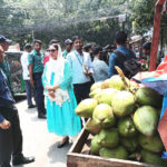 ফার্মেসিতেও চড়া দামে ডাব বিক্রি!